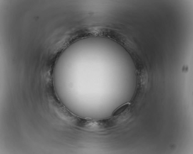X0000111450611200907131330