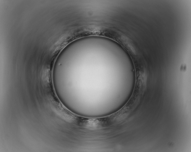 X0000111450612200907131330