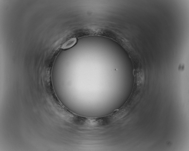 X0000111450613200907131330
