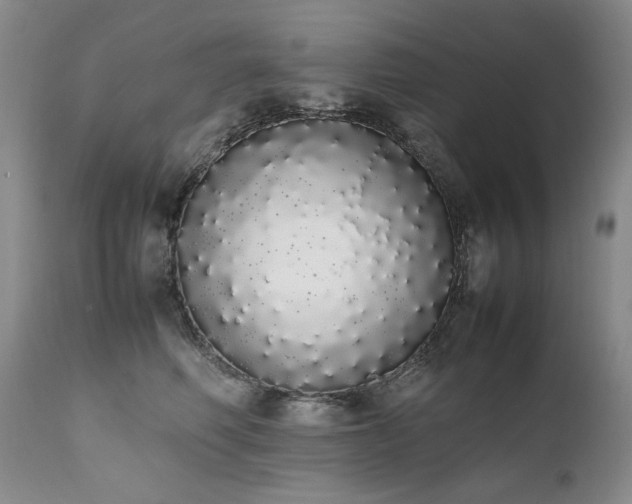 X0000111450614200907131330
