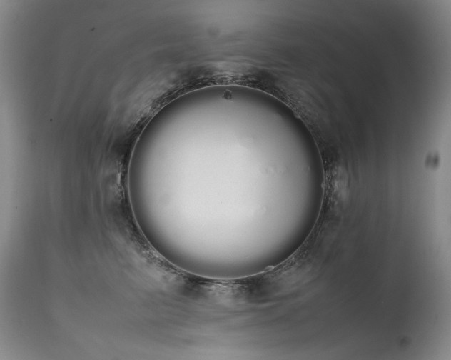 X0000111450615200907131330