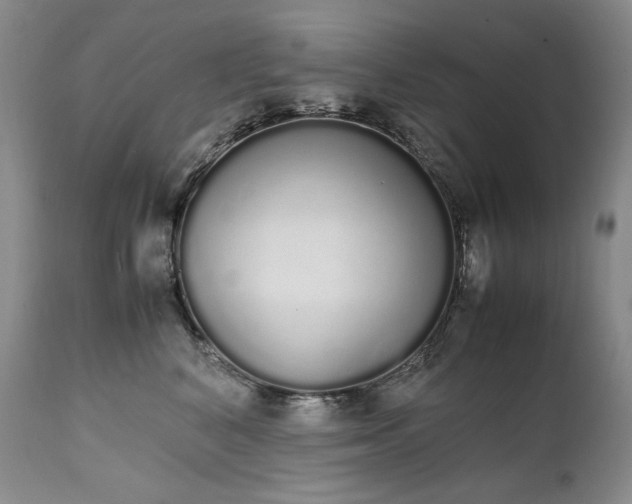 X0000111450616200907131330