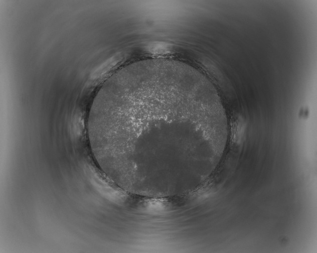 X0000111450618200907131330