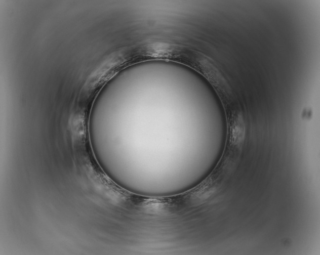 X0000111450620200907131330