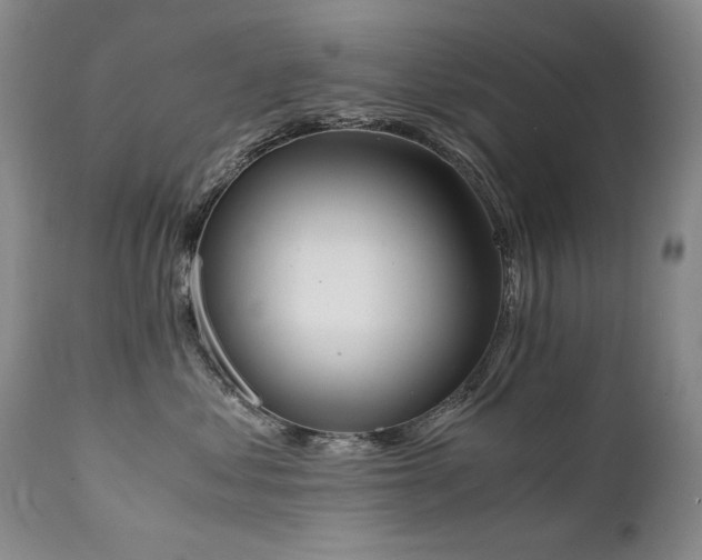 X0000111450621200907131330