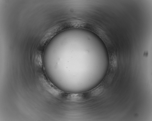 X0000111450622200907131330