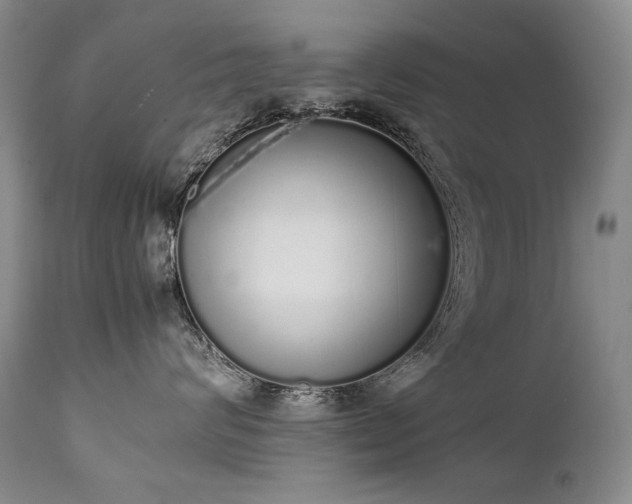 X0000111450624200907131330
