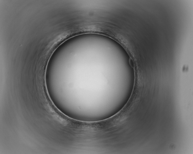 X0000111450625200907131329
