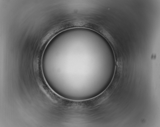 X0000111450626200907131329