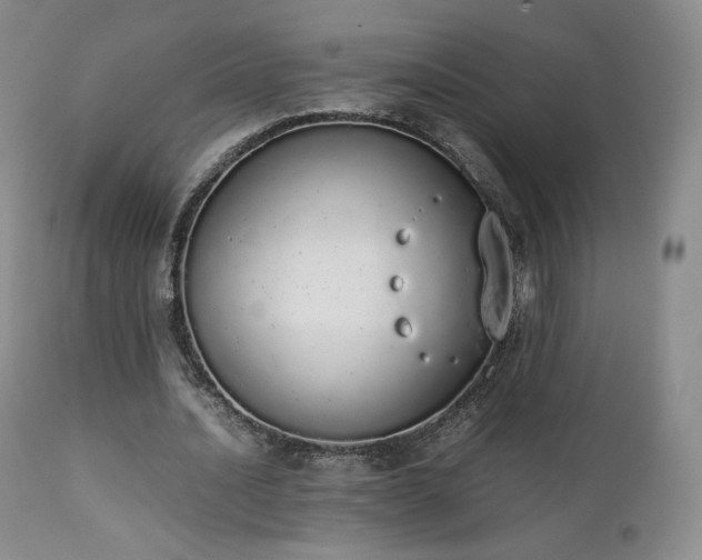 X0000111450628200907131329