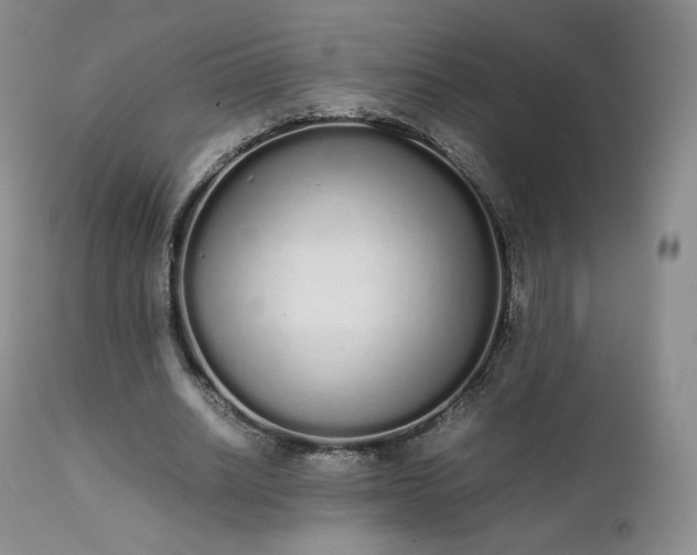 X0000111450630200907131329