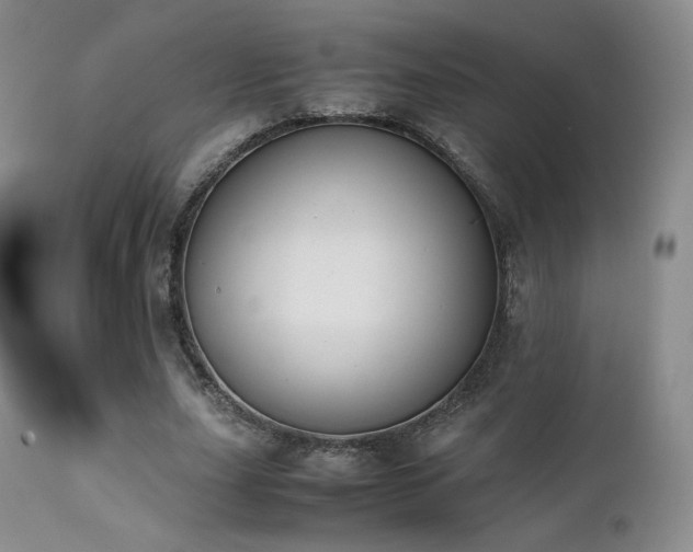 X0000111450631200907131329