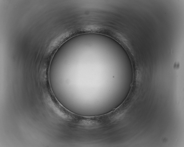 X0000111450633200907131329