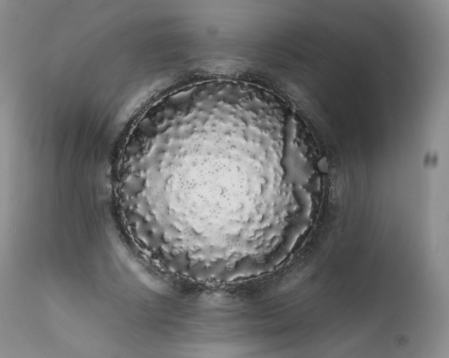 X0000111450634200907131329