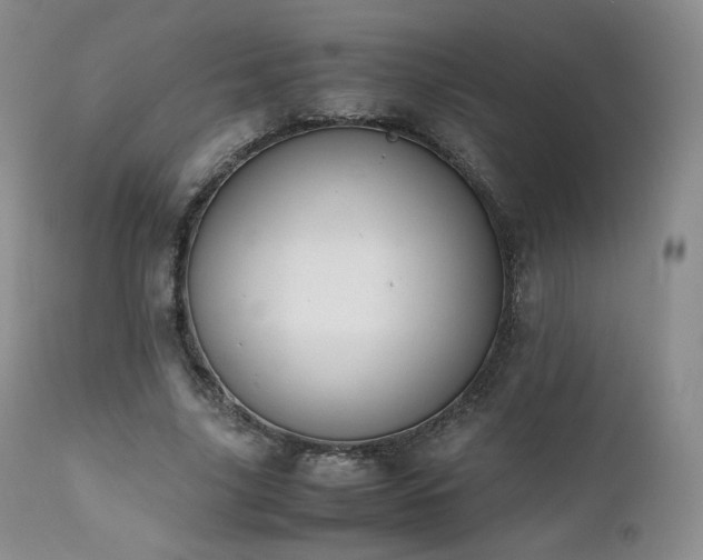 X0000111450635200907131329