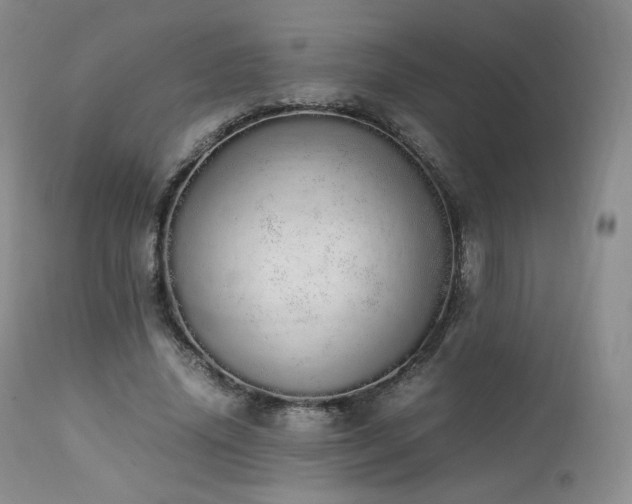 X0000111450636200907131329
