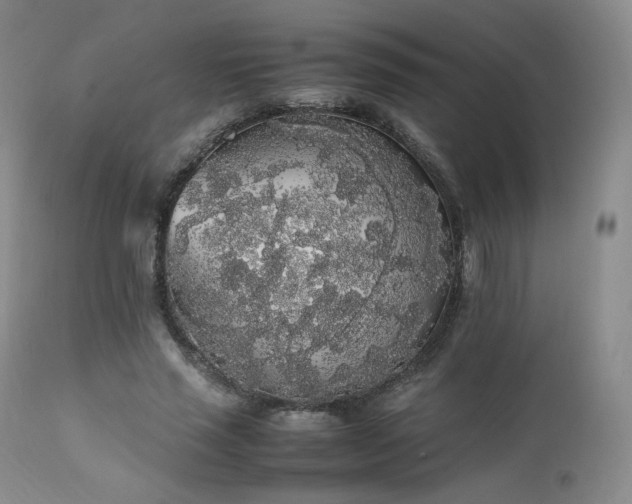 X0000111450637200907131329