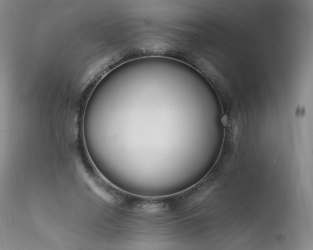 X0000111450638200907131329