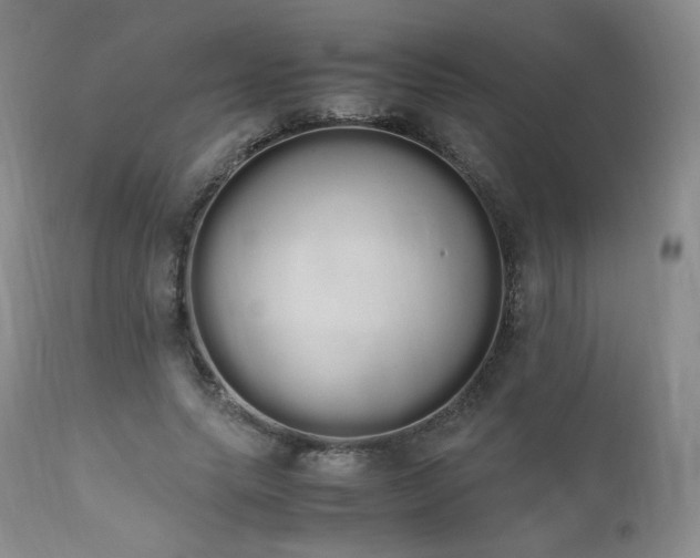 X0000111450639200907131329