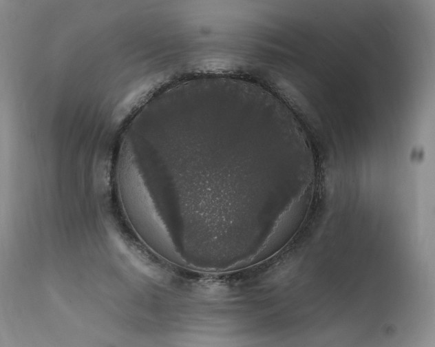 X0000111450640200907131330
