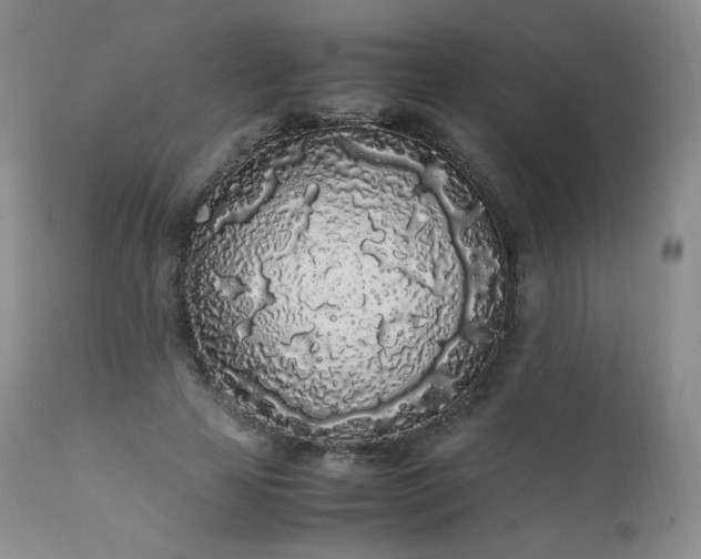 X0000111450641200907131330
