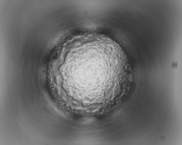 X0000111450642200907131330