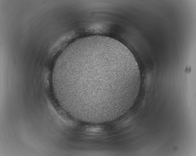 X0000111450643200907131330