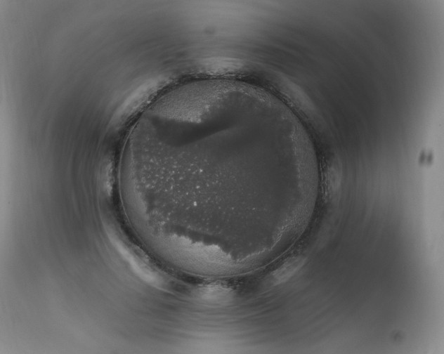 X0000111450644200907131330