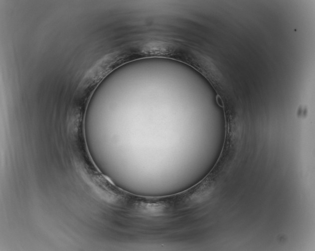 X0000111450645200907131330