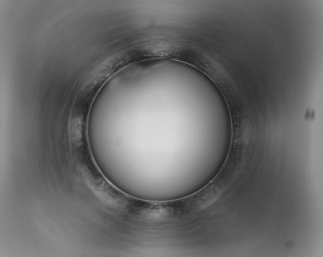 X0000111450646200907131330