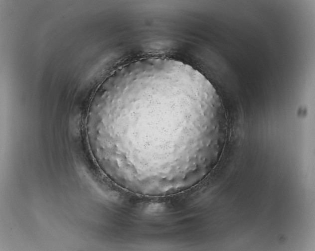X0000111450647200907131330
