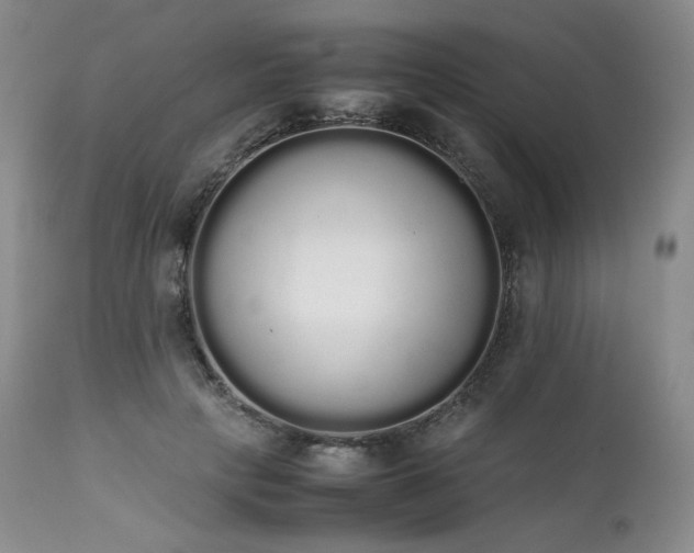 X0000111450649200907131330