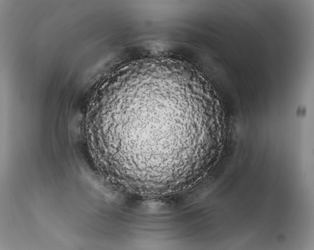 X0000111450650200907131330