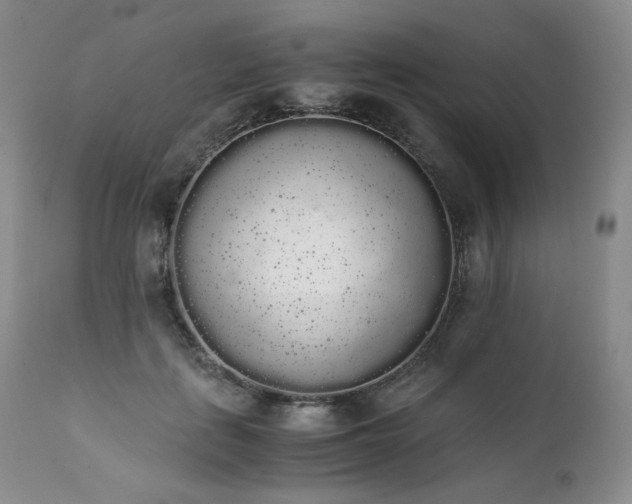X0000111450651200907131330