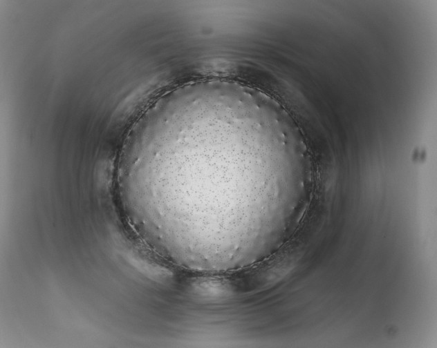 X0000111450652200907131330