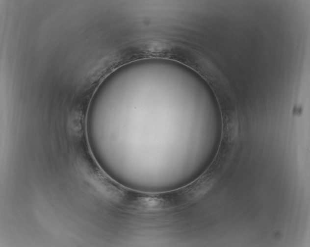 X0000111450654200907131330