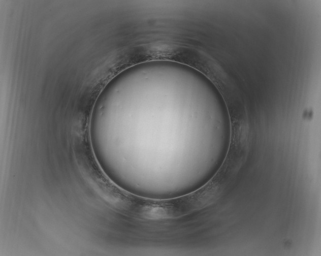 X0000111450655200907131330