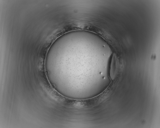 X0000111450656200907131330