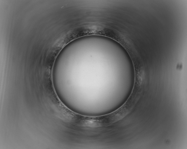 X0000111450657200907131330