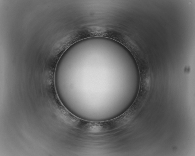 X0000111450658200907131330