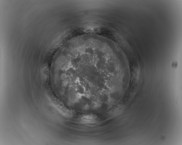 X0000111450659200907131330