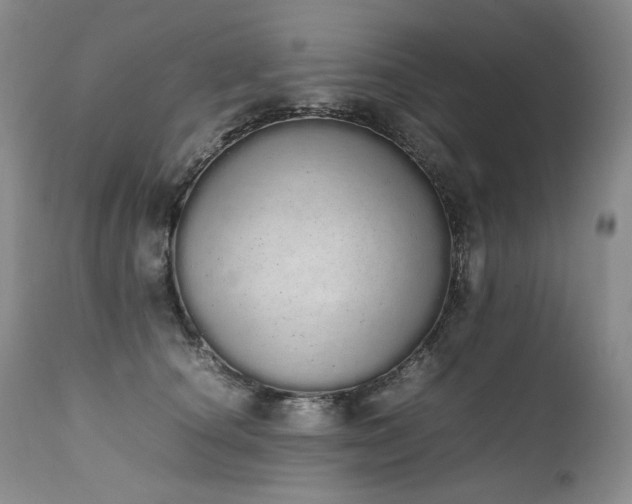 X0000111450660200907131330
