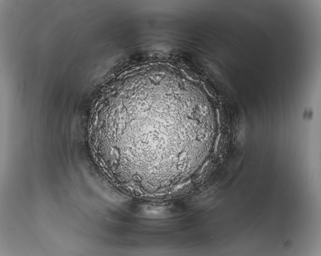 X0000111450661200907131330