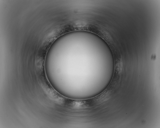 X0000111450662200907131330