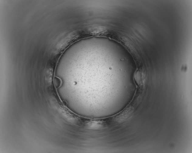 X0000111450664200907131330