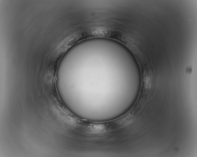 X0000111450665200907131330