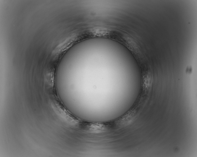 X0000111450666200907131330