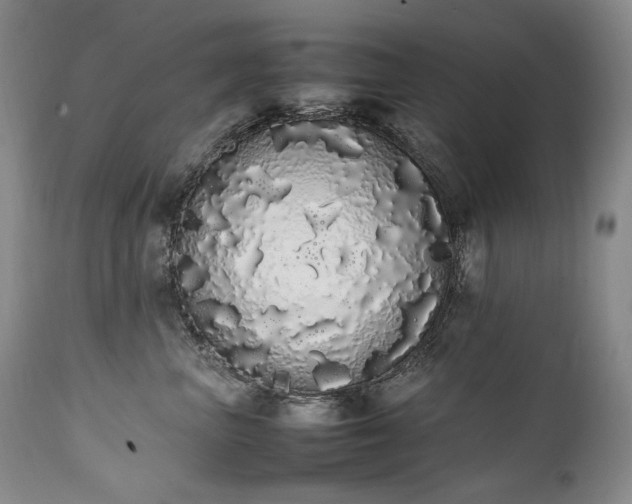 X0000111450667200907131330
