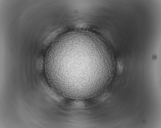X0000111450668200907131330