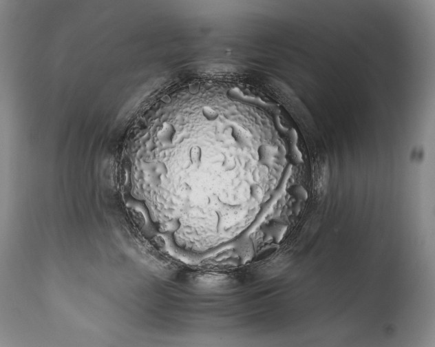 X0000111450669200907131330